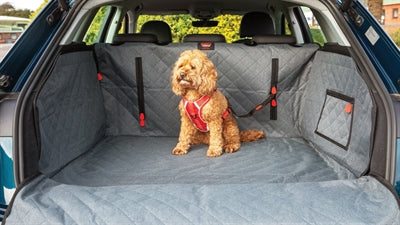 Kong Ultimative Cargo Auto Hundedecke